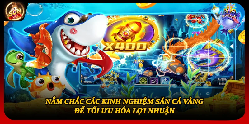Nắm chắc các kinh nghiệm săn cá vàng để tối ưu hóa lợi nhuận